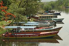 Negril River